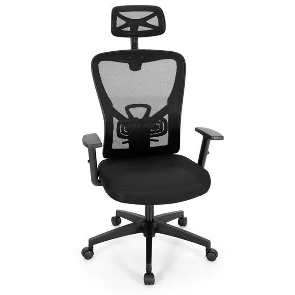 ALPHA CAMP Ergonomic Office Chair Adjustable Lumbar Support Mesh Swivel Desk Chair with Armrests, Black