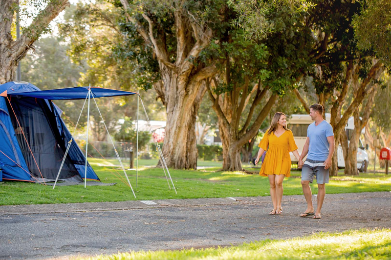 Why camping is good for you?