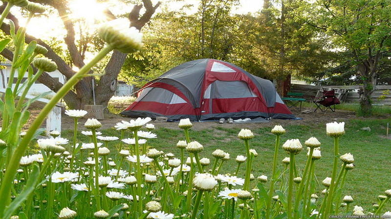What are the benefits of spring camping?