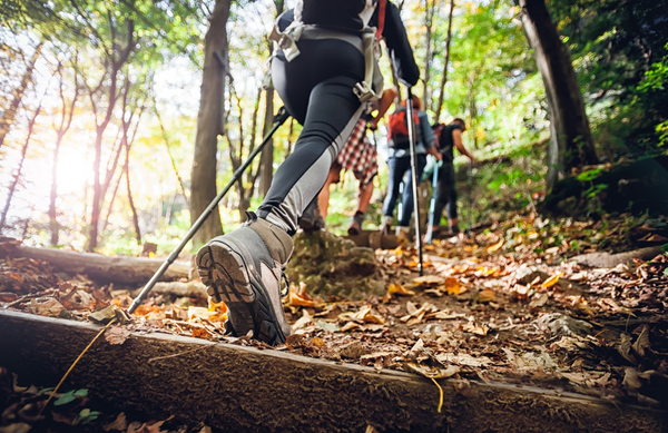 How to improve your Fitness by hiking?