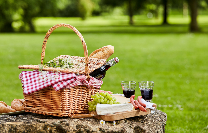 How to Plan the Perfect Picnic?