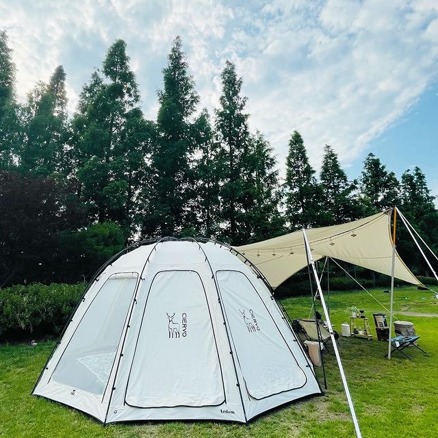 Where can I go camp?