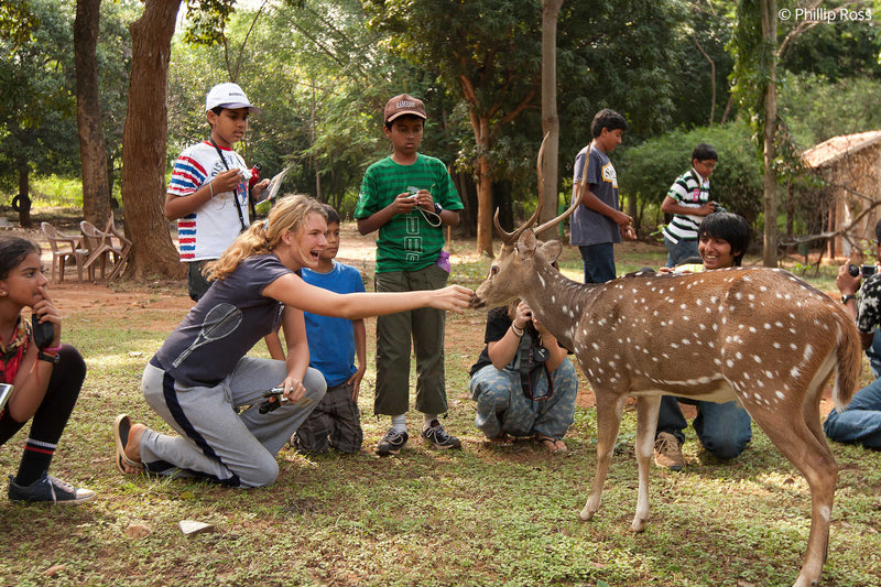 How to treat wild animals when camping——Respect them