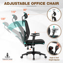 ALPHA CAMP Ergonomic Office Chair Adjustable Lumbar Support Mesh Swivel Desk Chair with Armrests, Black