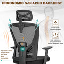 ALPHA CAMP Ergonomic Office Chair Adjustable Lumbar Support Mesh Swivel Desk Chair with Armrests, Black