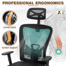 ALPHA CAMP Ergonomic Office Chair Adjustable Lumbar Support Mesh Swivel Desk Chair with Armrests, Black