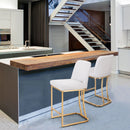 ALPHA CAMP Premium PU Leather Counter Height Bar Stool with Gold-Plated Steel Frame