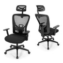 ALPHA CAMP Ergonomic Office Chair Adjustable Lumbar Support Mesh Swivel Desk Chair with Armrests, Black