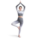 ALPHA CAMP Ombre Seamless High Waist Sports Leggings Stretchy Fitness Gym Yoga Pants