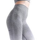 ALPHA CAMP Ombre Seamless High Waist Sports Leggings Stretchy Fitness Gym Yoga Pants